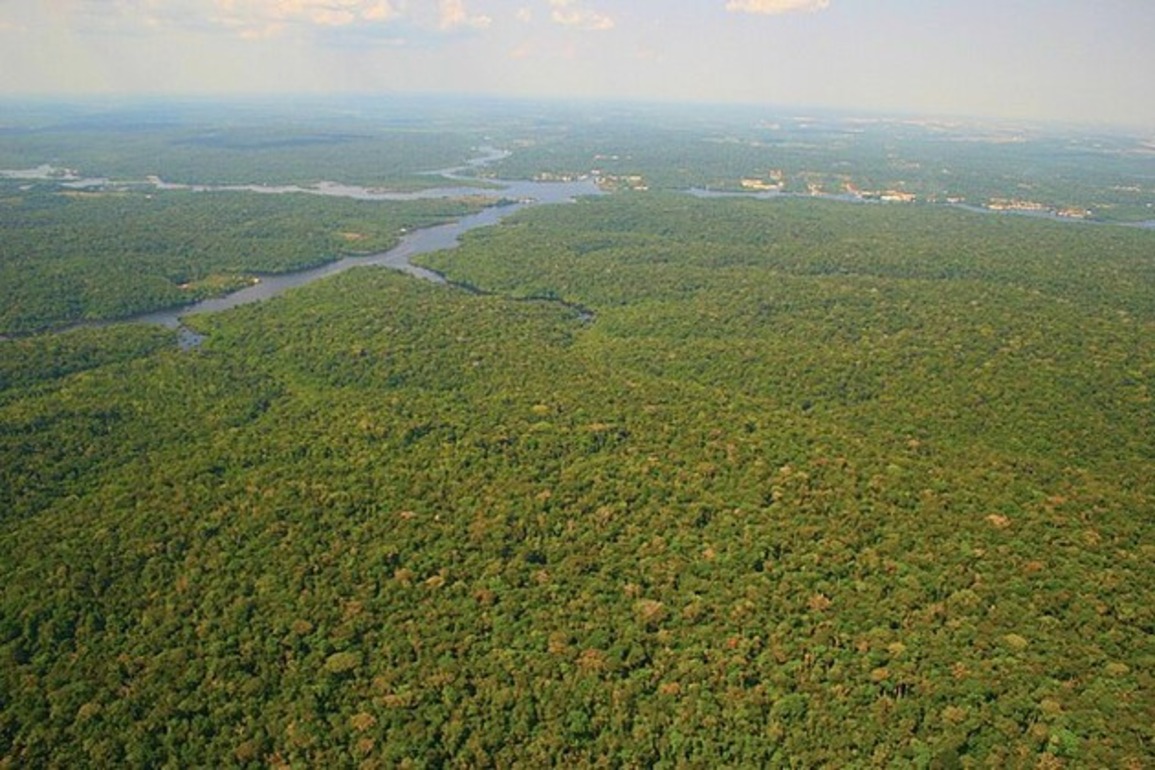 Brazilian soy farms expand into Amazon despite 2008 deforestation pact