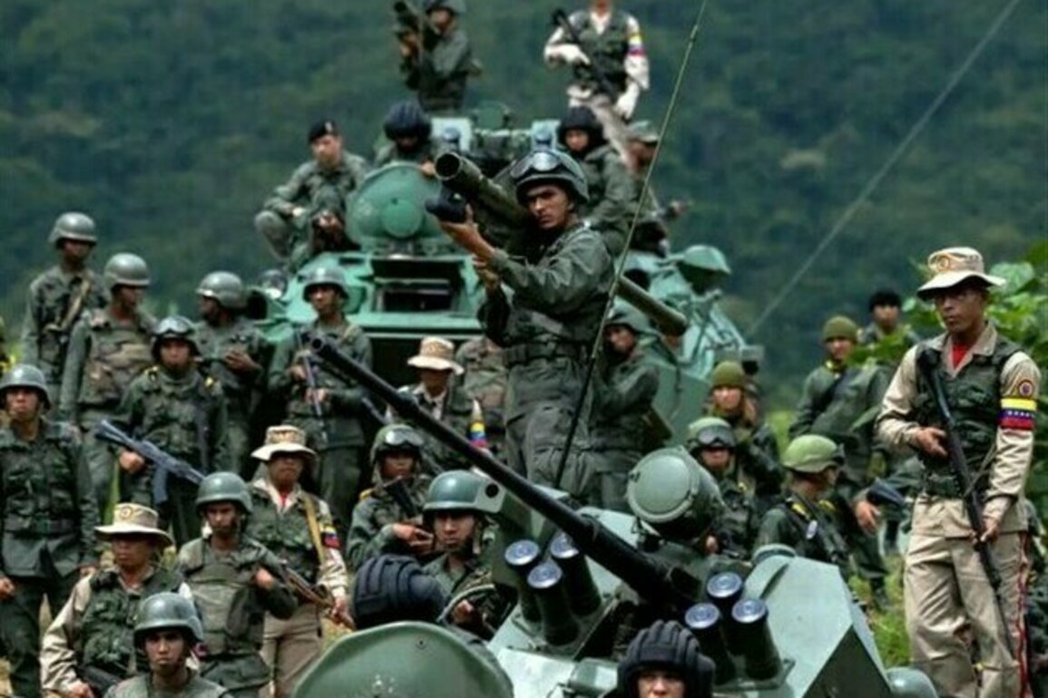 Venezuelan Armed Forces Begin Drills in Caribbean: Defense Minister