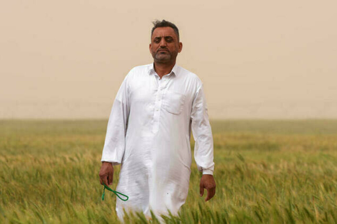Iraqs drought-doomed farmers turn to groundwater to boost agriculture