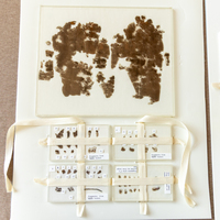 WASHINGTON, D.C.-CHINESE EMBASSY-U.S. MUSEUM-ANCIENT SILK MANUSCRIPTS-CHINA-RETURN