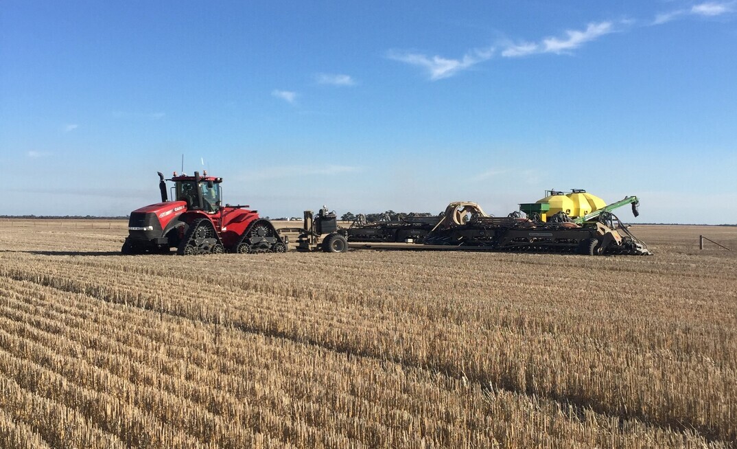 A new report from Rabobank has forecast a drop in Australia's winter crop plantings.