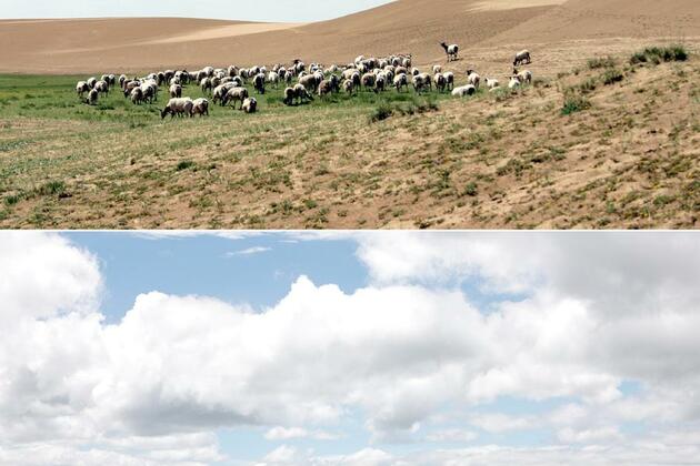 Tech innovations fuel China's desertification fight