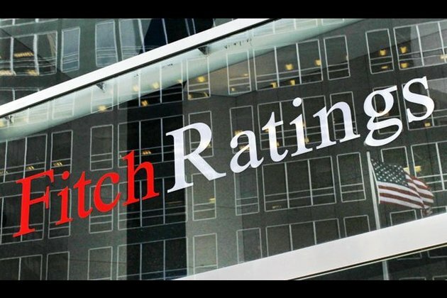 India vote may bolster economic reform prospects: Fitch Ratings