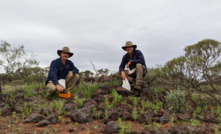  Early Dreadnought days on the Mangaroon tenure, WA