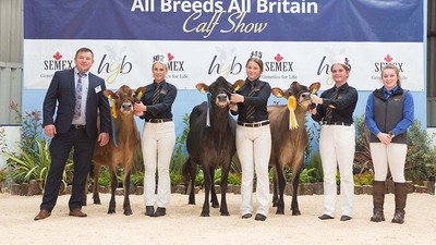 Riverdane Holsteins win at All Breeds All Britain calf show