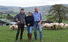 NSA SHEEP PREVIEW: Sheep farming to be showcased to public at NSA Welsh Sheep