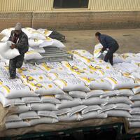 China's sunflower seeds find global appetite