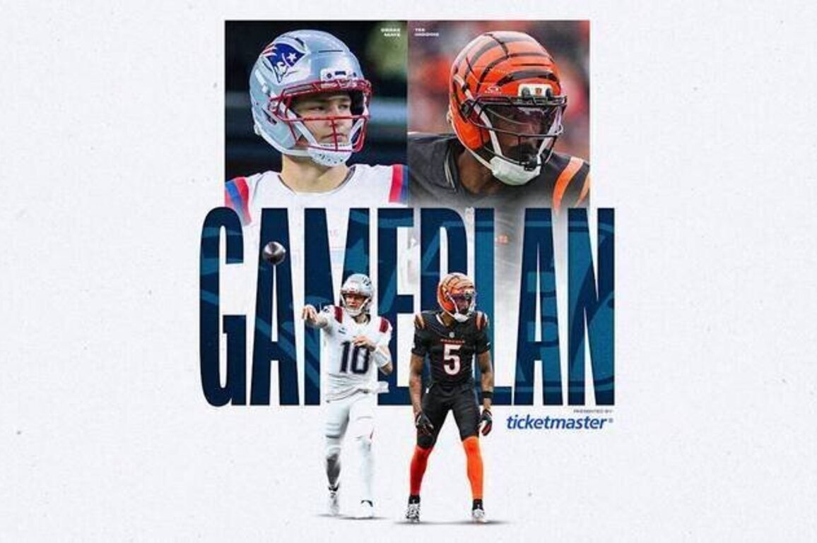 Patriots Gameplan: 3 Keys to Victory vs. the Bengals in Week 12