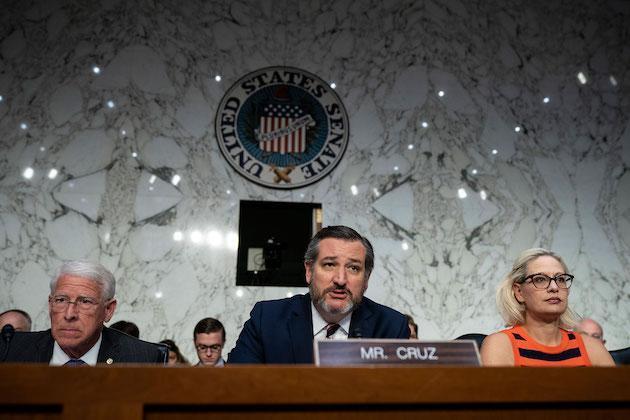 Ted Cruz mounts new challenge to Biden victory