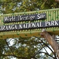 Assam: Jeep Safari at Kaziranga National Park to remain closed from May 19 due to bad weather