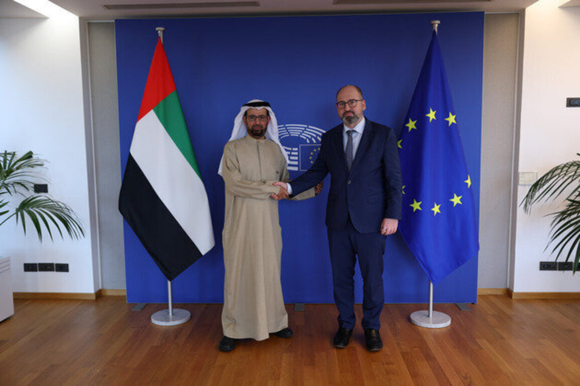 Ali Al Nuaimi meets Foreign Affairs Coordinator for the Conservative Party in European Parliament