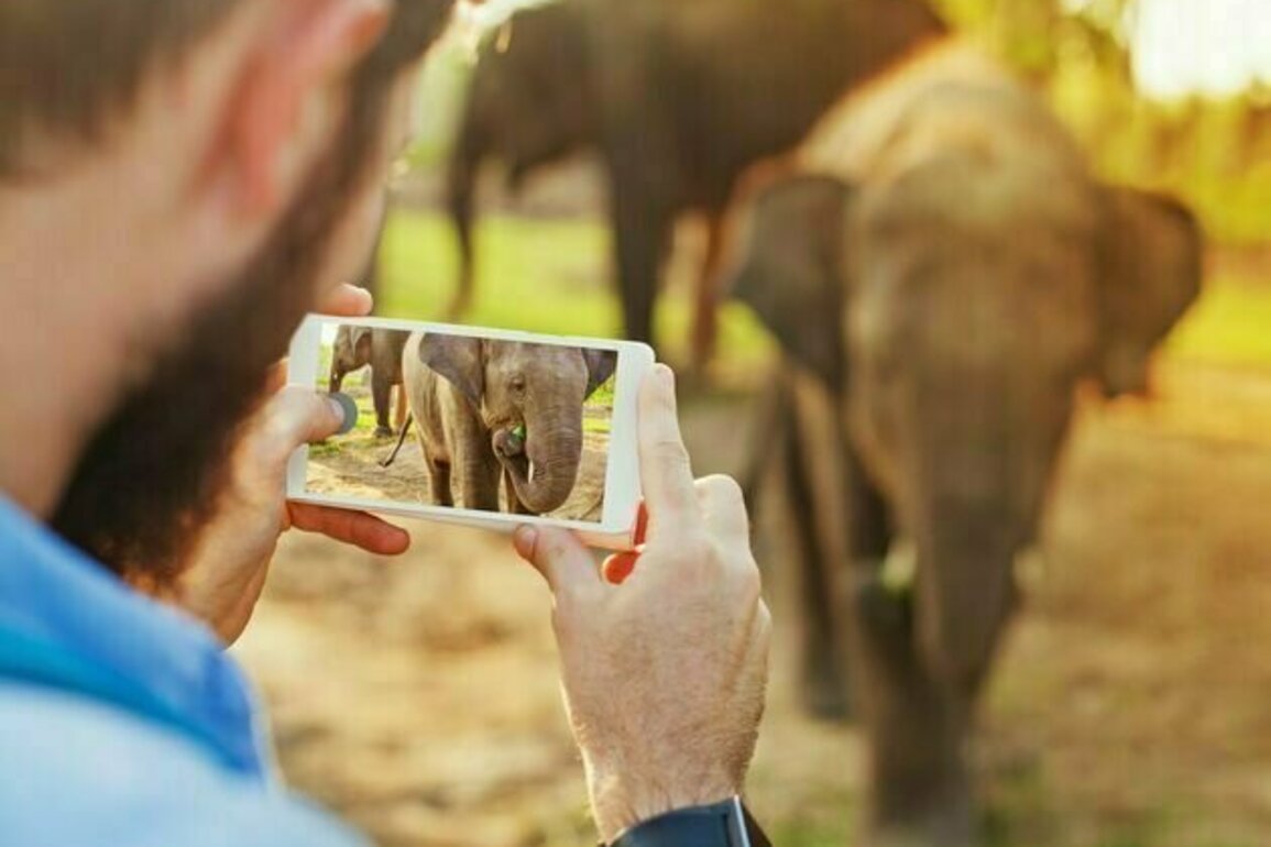 What the new British zoo standards mean for animal welfare