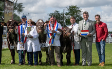 Beef Shorthorns and Holsteins claim Burke Trophies at Royal Three Counties Show