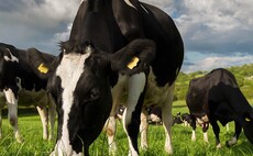 "Agriculture is too important to be ignored by politicians" - Ulster Farmers Union holds 'crisis meeting' to discuss threat to farming 