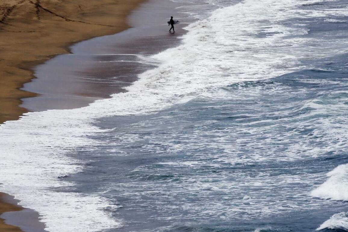 California surfer makes narrow escape after shark chomps board