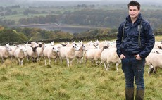 Young farmer expands business after winning tenancy