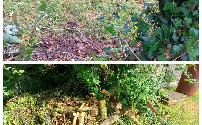 Police said they were investigating an incident of criminal damage at a farm in Bosley due to a broken fence