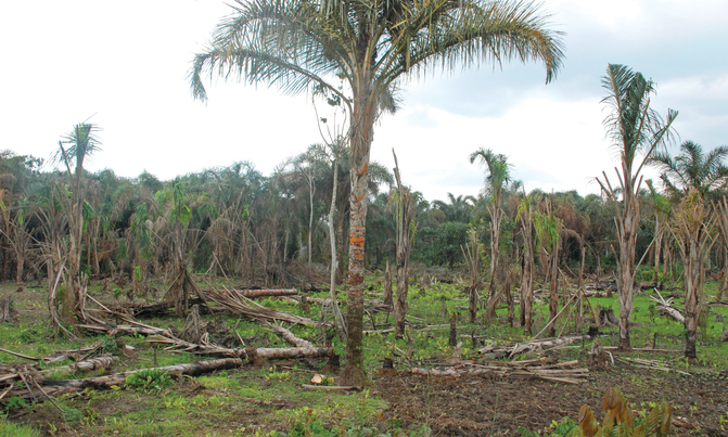 "Uganda blessed by nature, cursed by greed" "Uganda blessed by nature, cursed by greed"