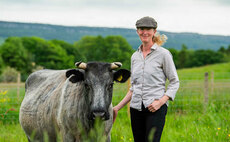 Matching specific breeds to farms makes for a successful business
