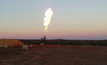 File photo: a gas flare in the wild