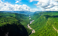 UNEP: Annual global investment in forests needs to triple to $300bn by 2030