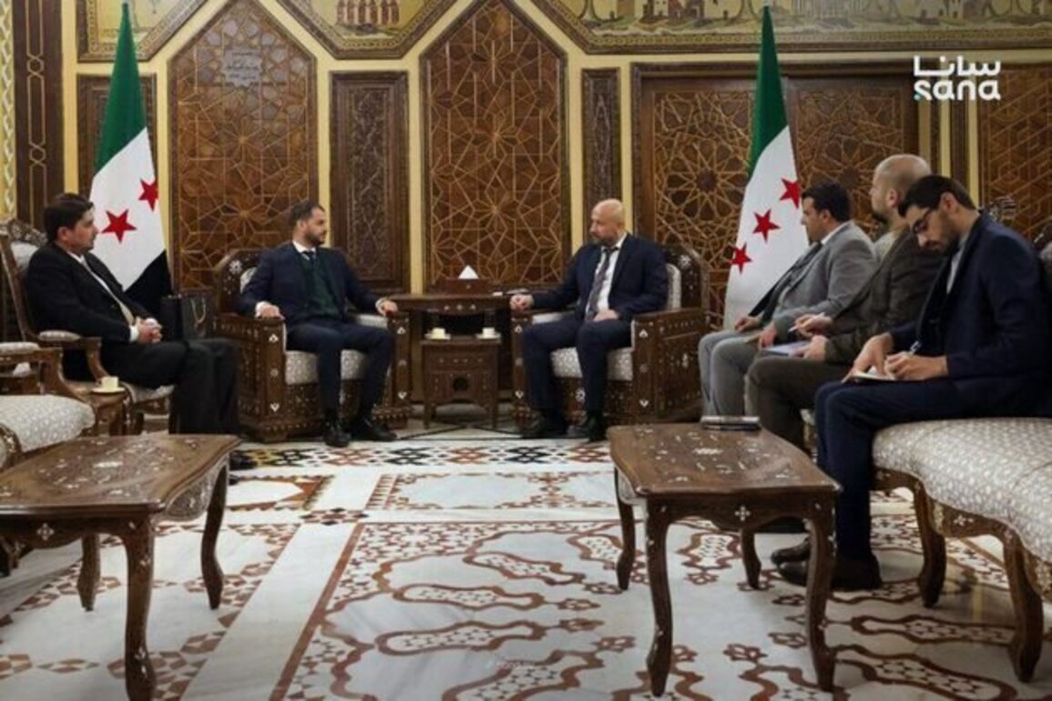 Syria, Libya discuss cooperation in disaster and emergency management