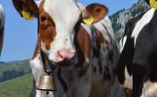 Meeting society's high expectations raises challenges for Swiss farmers