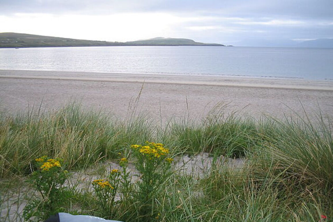 IBAL report finds significant drop in Ireland’s beach litter