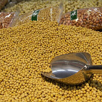 Trade truce boost fades as China’s soybean stockpiles curb US sales