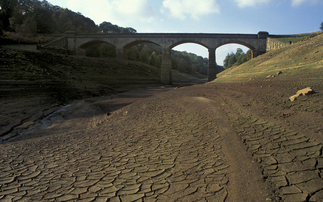 Study: European heatwave could cost farmers €2bn in lost revenue