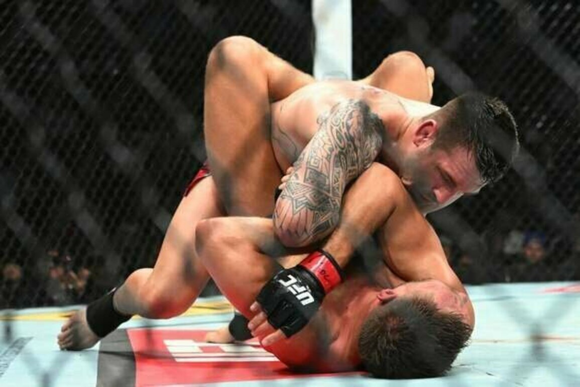 UFC Fight Night: Corner stoppage gives Brendan Allen win over Reinier de Ridder