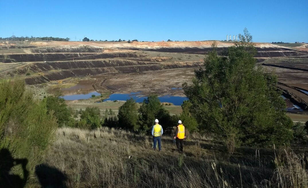 Plants are capable of growing their roots deeper in search of the coal-hosted water sources.