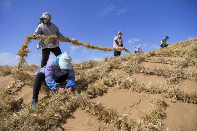 China completes barrier belt to prevent eastward expansion of its fourth-largest desert