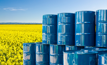 Is Canola oil a biofuel maverick?