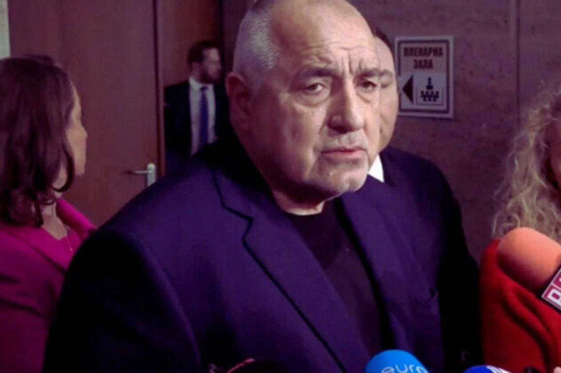 Borissov: The Ruling Majority in Bulgaria Remains Unstable