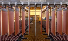 Copper cathodes at Gunnison Copper's Johnson Camp Mine