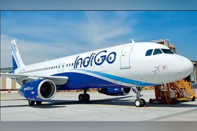 Indigo's profits fly almost 1,000 pc in December quarter