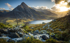 'A lifeline for nature': Welsh government passes landmark Environment Bill