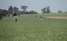 A good weather station makes a sound investment