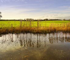 'Oxford Offsetting Principles': Report calls for carbon offset market 'course correction'