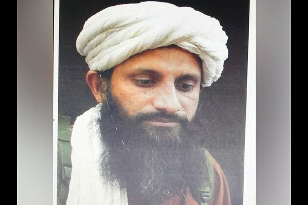 Al-Qaeda's Indian subcontinent chief Asim Umar killed in Afghanistan