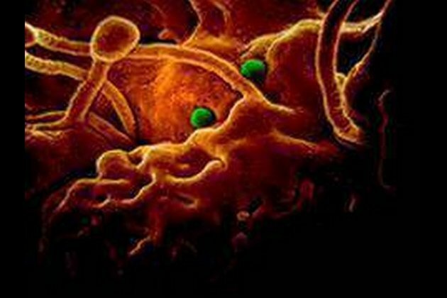 Coronavirus case suspected in Ambala