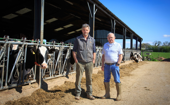 Dairy special: EcoFeed is part of the plan to drive genetic efficiency in dairy cattle