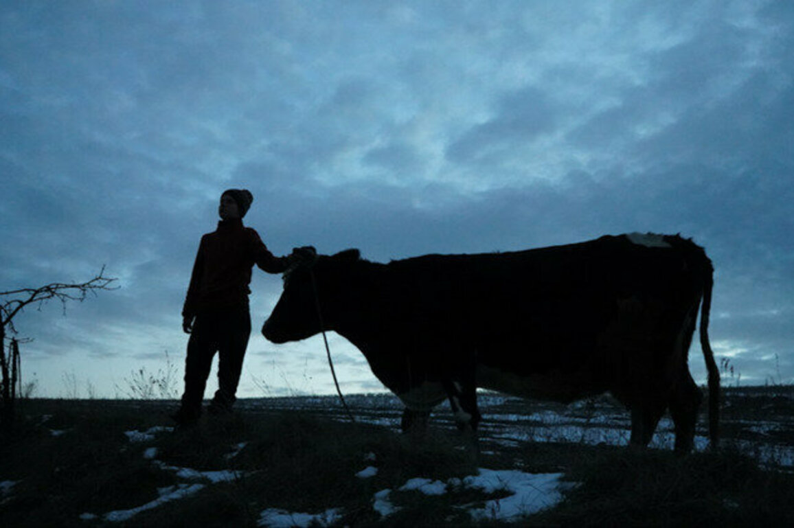 Sound recordings can give us an animals' eye view of the war in Ukraine