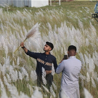 BANGLADESH-DHAKA-KANS-GRASS