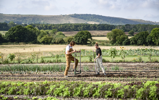 NFU Mutual launches new support to protect farmers in carbon and environmental markets