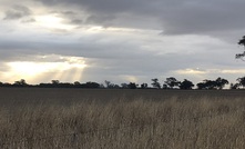  The WA Government has provided more than $3 million to fund carbon farming projects.