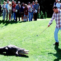 Adam Sandler mourns death of 'Happy Gilmore' alligator co-star