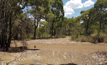  One of the existing tracks in the Julimar state forest