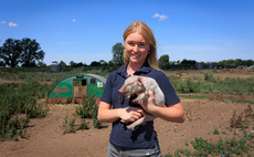 Young pig farmer creating her own success story at 23